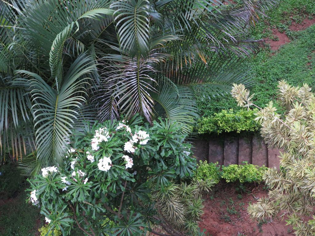Kandy View Garden Hotel Екстериор снимка