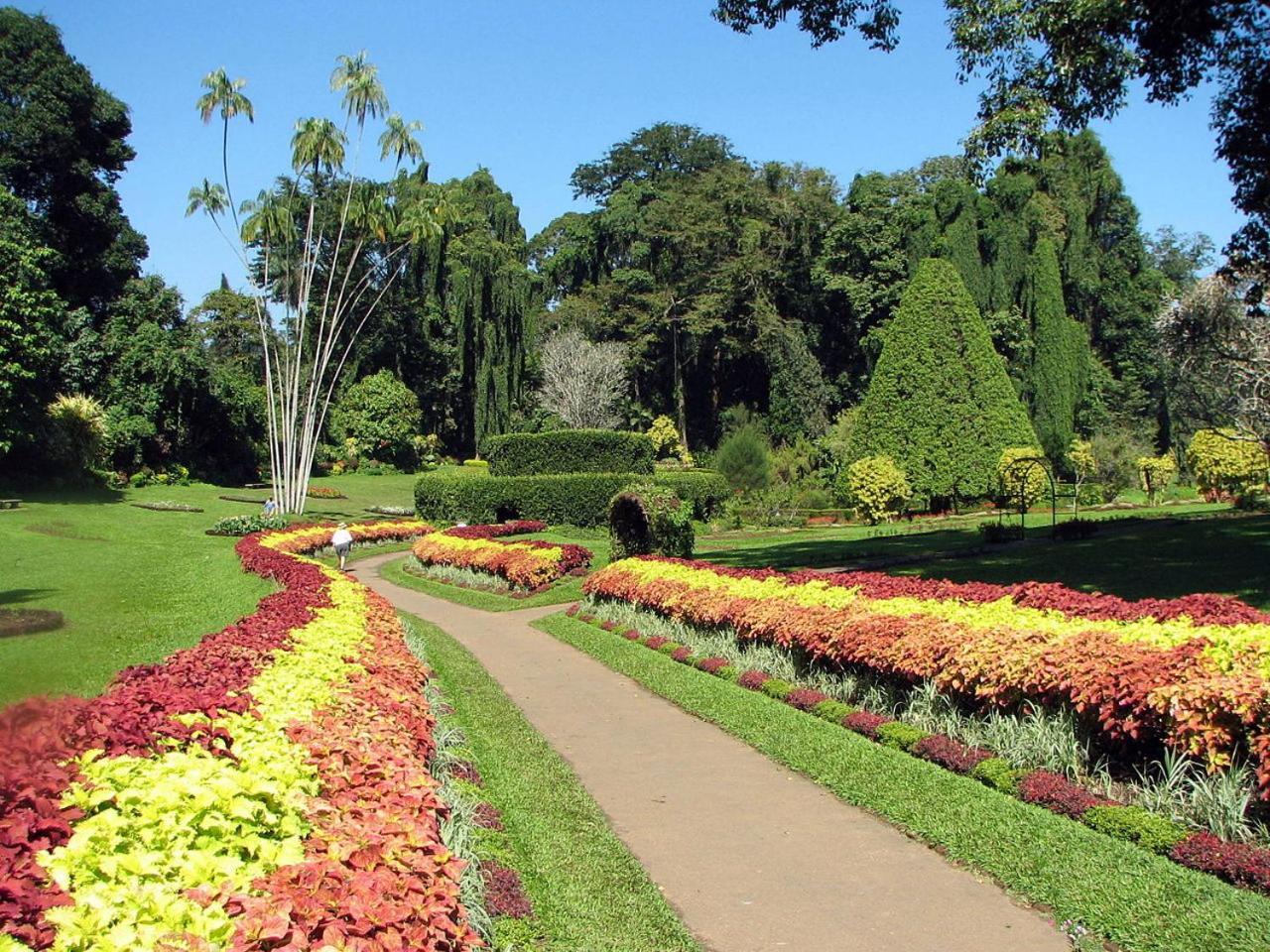 Kandy View Garden Hotel Екстериор снимка
